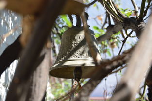 爱游戏体育娱乐-NBA球员转会市场动态，nba转会名单