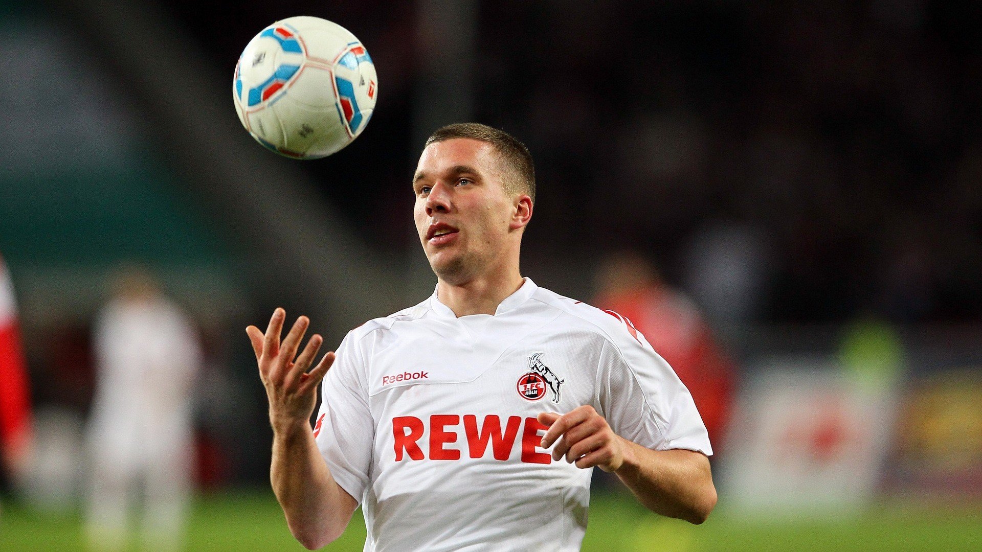 南非羚羊队:强大防守与快速反击,展现攻防平衡之美,南非羚羊银币